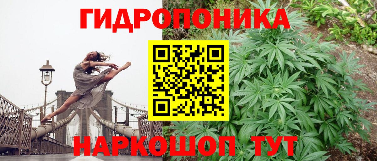 Бошки марихуана Bruce Banner  Шишки марихуана LSD WEED  Канабис гибрид  Вход с VPN  Кудрово  Бошки марихуана планчик 